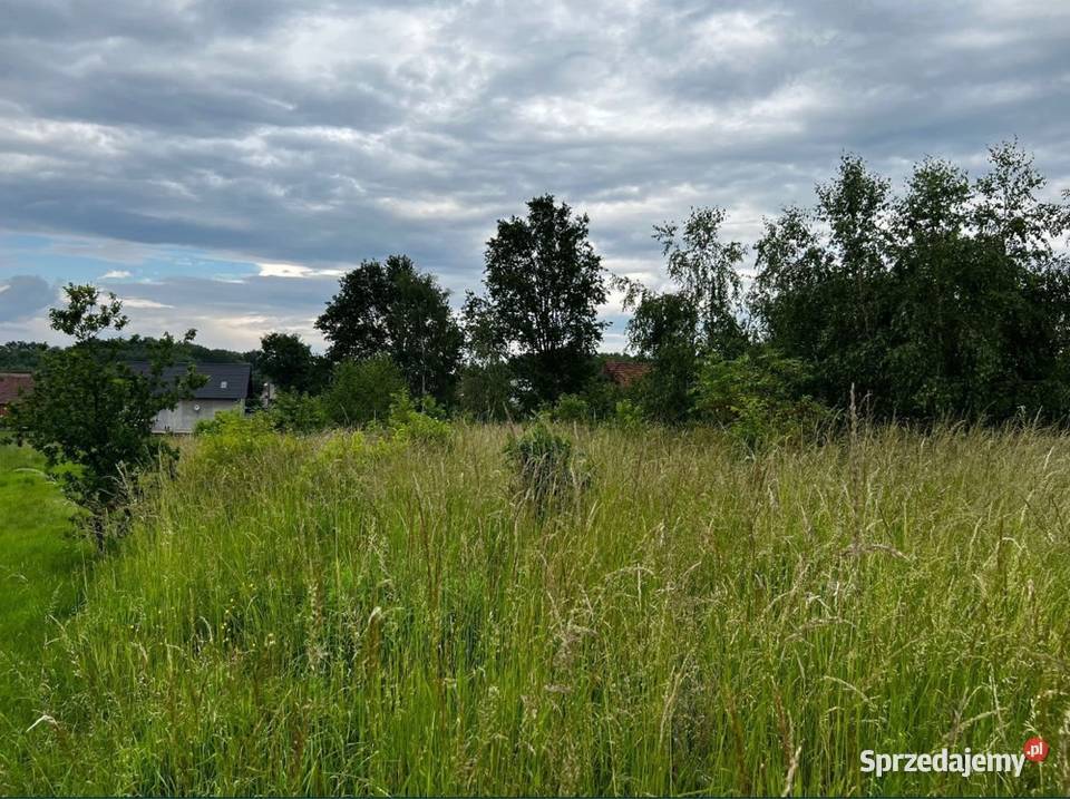 Działka budowlana kolorowe jeziorka lubuskie Chełmica