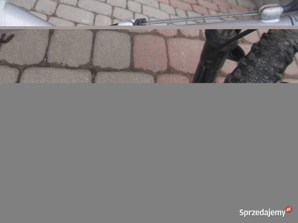 rower harley davidson 170 zl