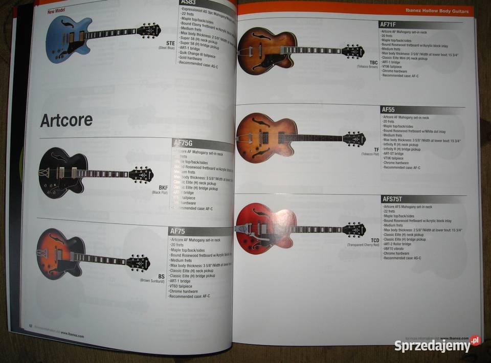 Ibanez 2018 katalog gitar Ibanez pomorskie