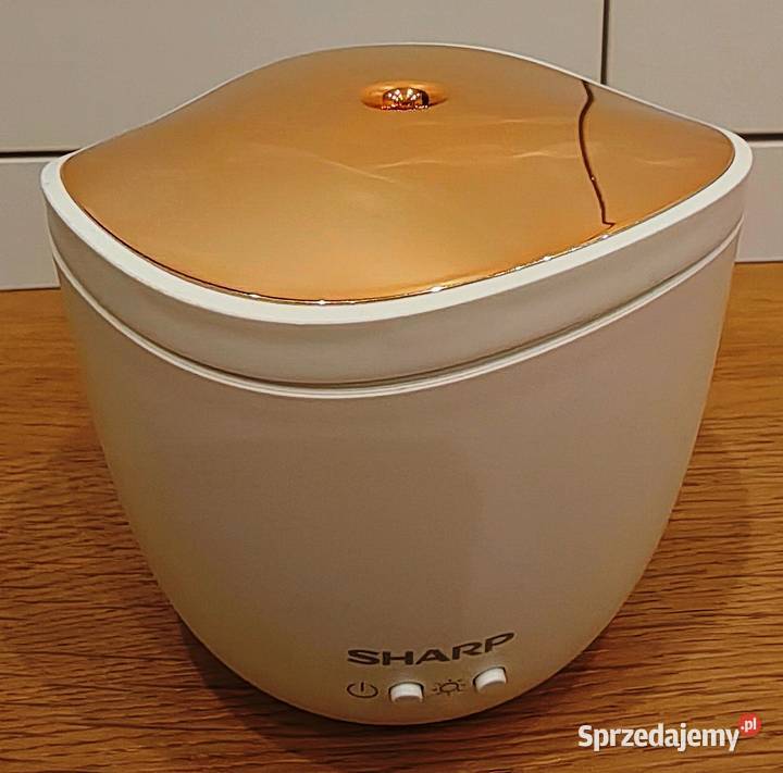 Aromatyzer Sharp DFA1 Toruń