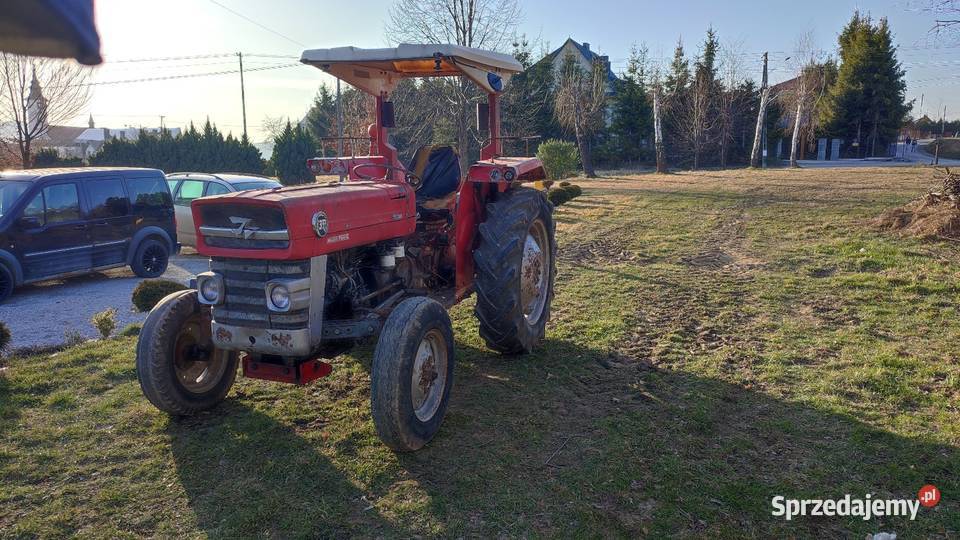 Massey Ferguson 135 multipower Limanowa