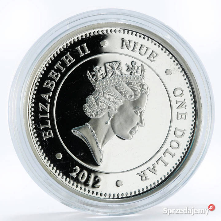 MEXICAN REDKNEE TARANTULA Venomous Spiders Warszawa