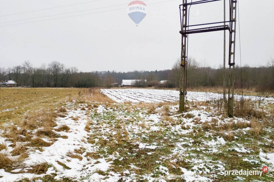 Działka siedliskowa 318 ha Pieńki Zarębskie sprzedam