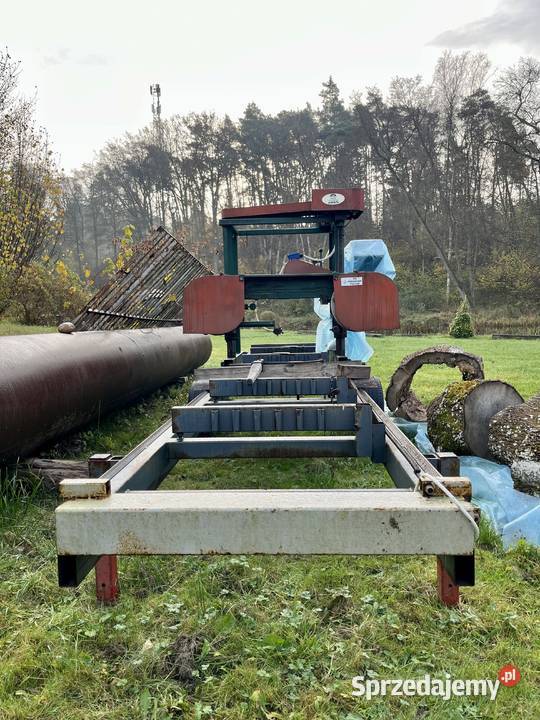 Trak taśmowy poziomy do cięcia drewna Dobrzyca