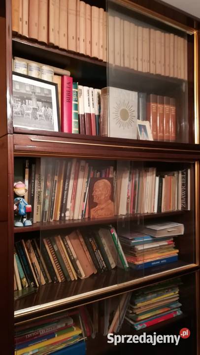 Książki Biblioteka Arcydzieło 16