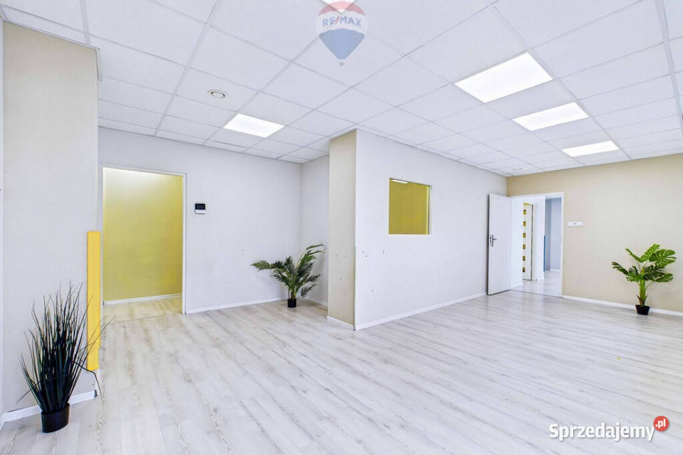 Na sprzedaż lokal usługowy pow 14461 m Zielona Góra