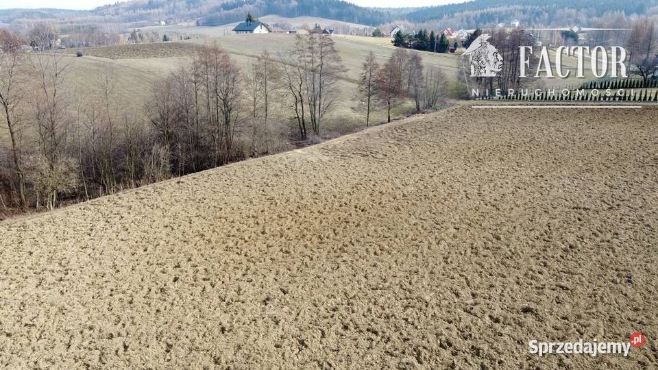 Działka budowlana 20 a na Polesiu Dominikowice 33m