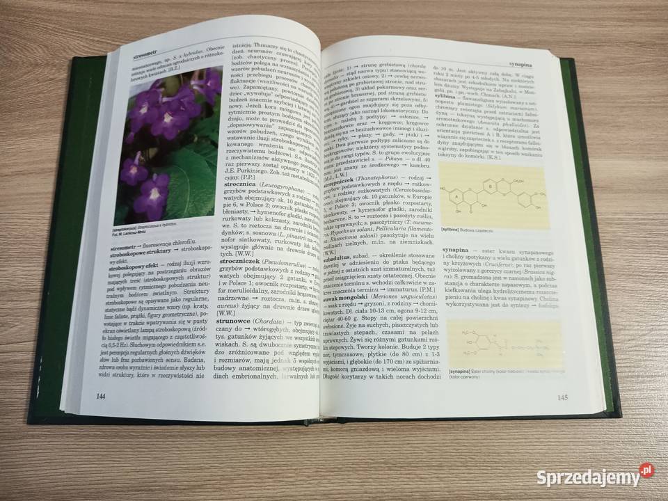 Encyklopedia Biologiczna Tom XIII Suplement