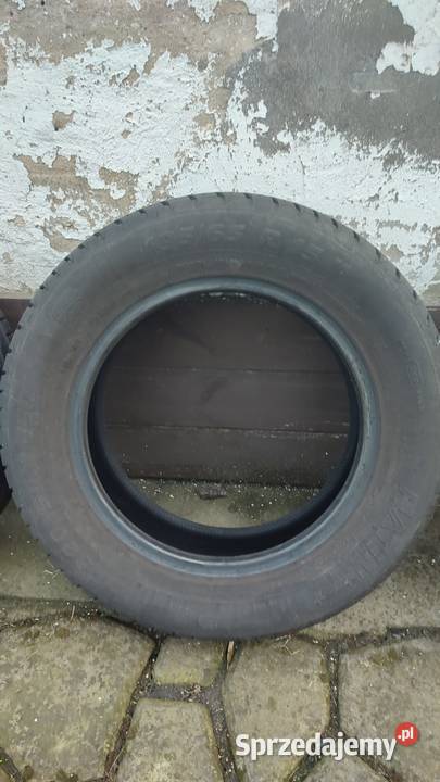Opony platin 195 65 15R stan idealny dot19 Poznań
