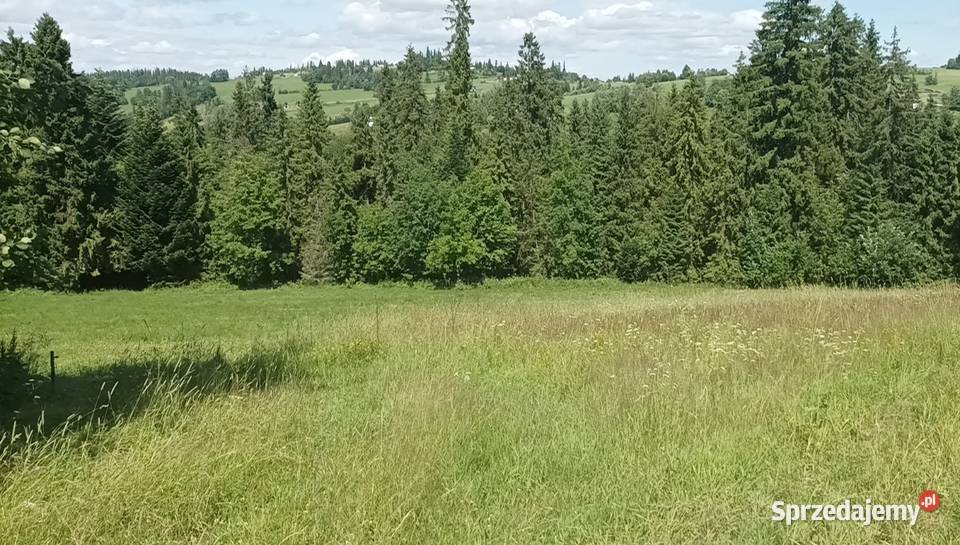 Sprzedam działkę rolną Bukowina Tatrzańska sprzedam