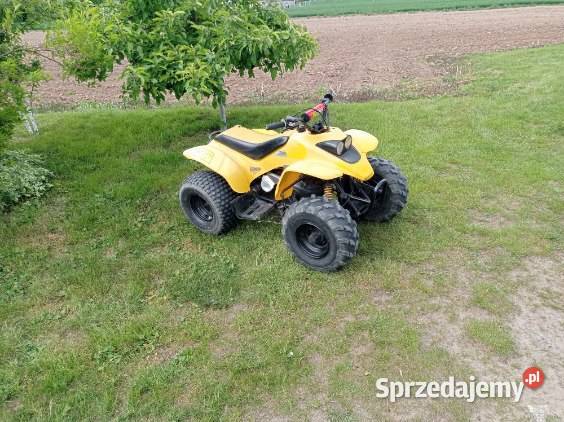 Quad RAM 100 2T 2014r Świesz