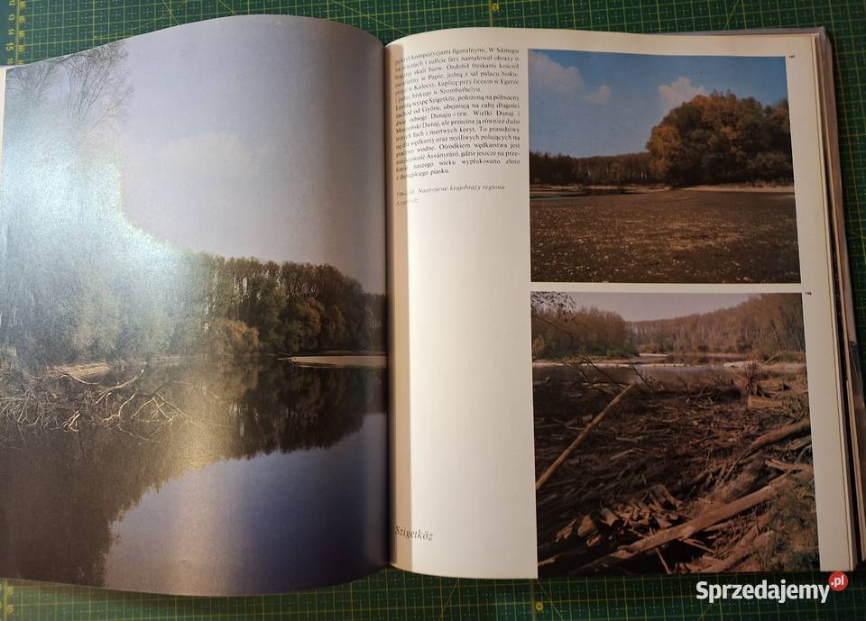 Węgry Zoltan Halasz Kraków sprzedam