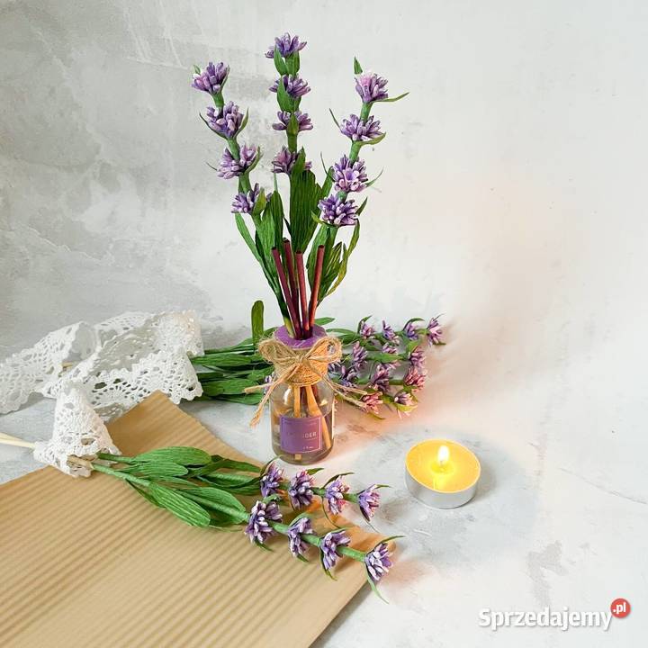 Lawenda z krepiny włoskiej lubuskie Zielona Góra