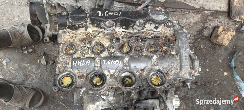 CITROEN BELINGO PEUGEOT FORD 16HDI silnik HHDA świętokrzyskie sprzedam