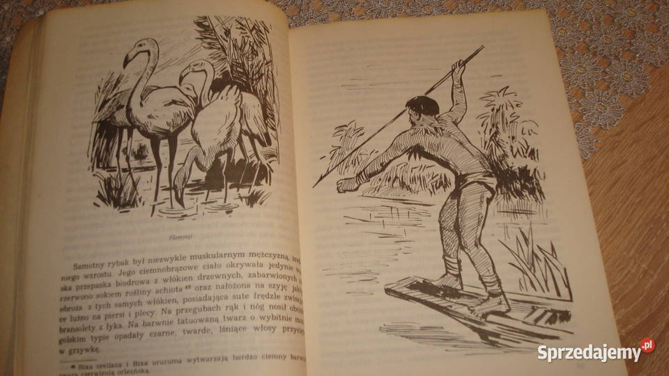 Tomek u źródeł Amazonki Szklarski js