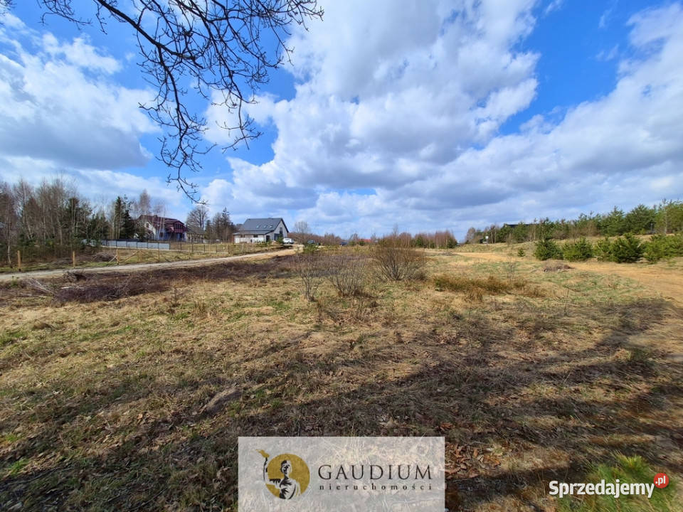 Przystanek NATURA działka pod lasem Kobysewo