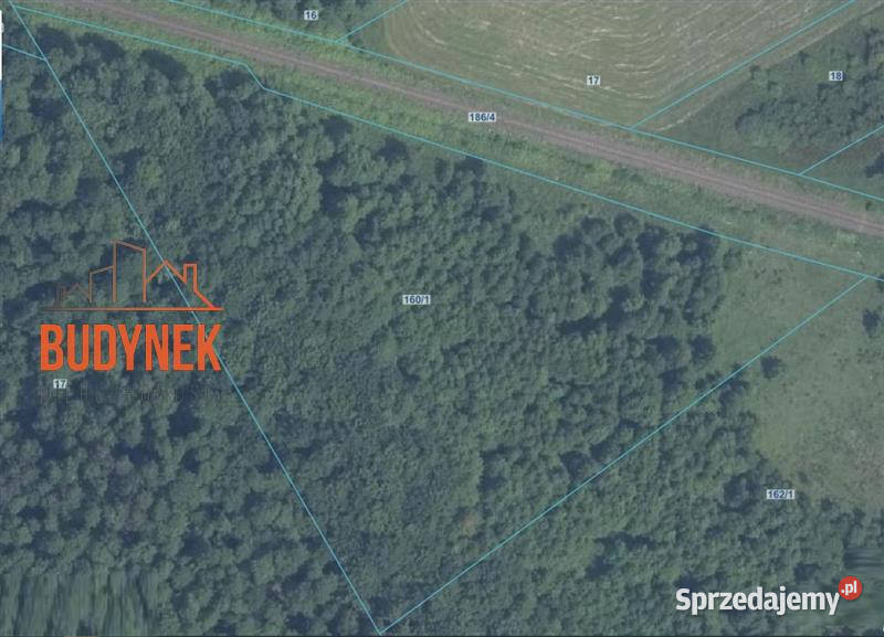 Działka rolna Sińczyca Sprzedaż
