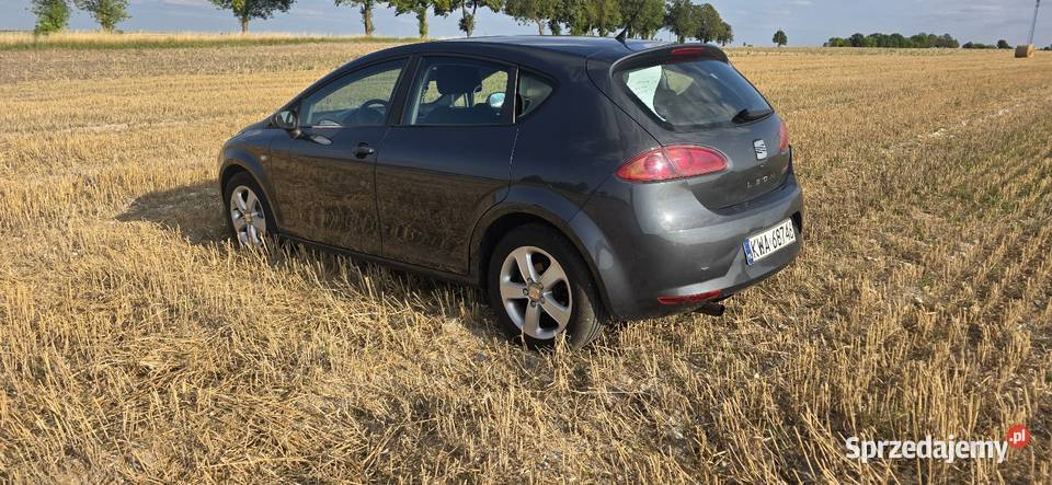 Seat Leon 16 b 102 sprawna klima lubelskie Chełm