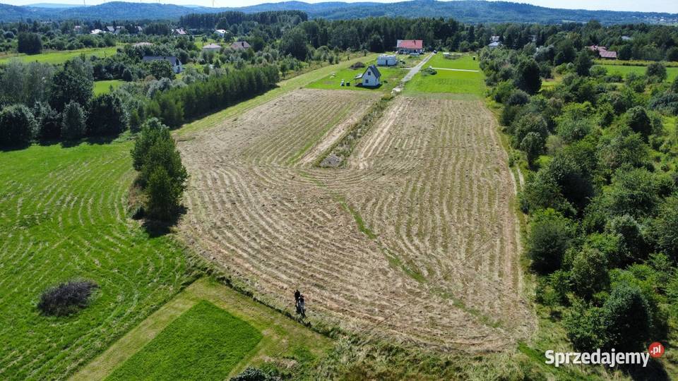 Działka budowlana1065 arów Machnówka