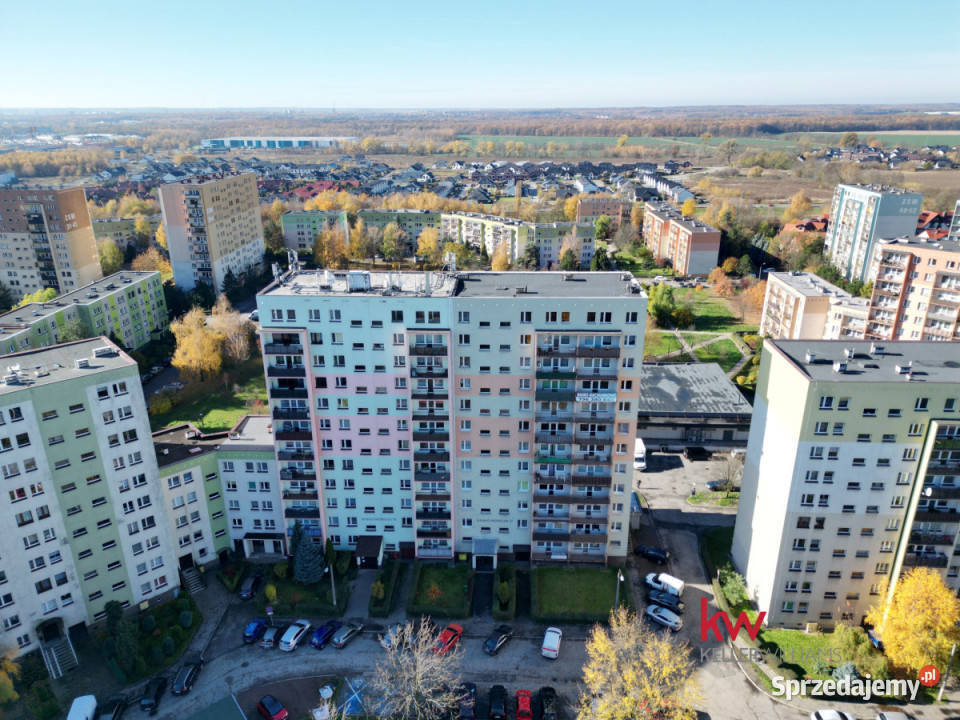 Ogłoszenie mieszkanie Zabrze Prof Tadeusza Rok budowy 1970 sprzedam