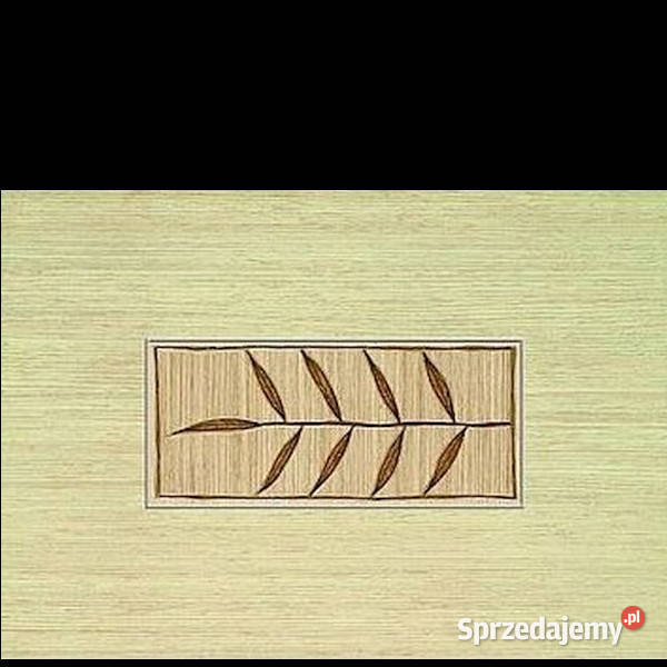 Tubądzin Castanio 3 wymiar 25 x 36 dekor płytki zachodniopomorskie Białogard