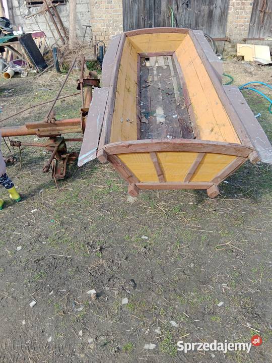 Wasąng kony Krasnystaw sprzedam