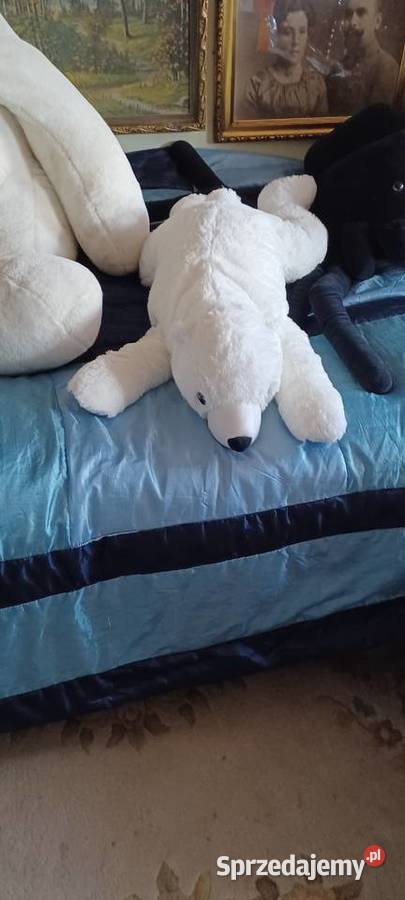 NIEDŻWIEDZIE POLARNE WIELKI CIĘŻKI MIĘKKI I 2 wielkopolskie