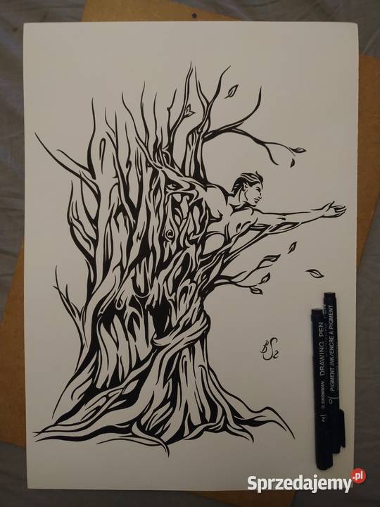 Rysunek z drzewa cienk blok t A3 250 gm2 mazowieckie Warszawa