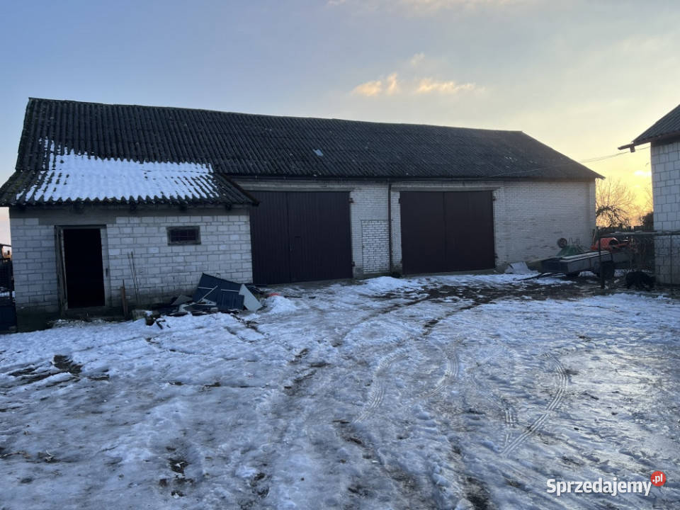 Sprzedam siedlisko dom i zabudowania gospodarcze Lipiny