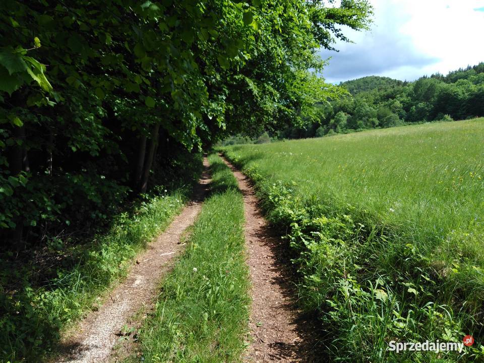 Działka z decyzją o war zabudowy Czarnej Góry Idzików