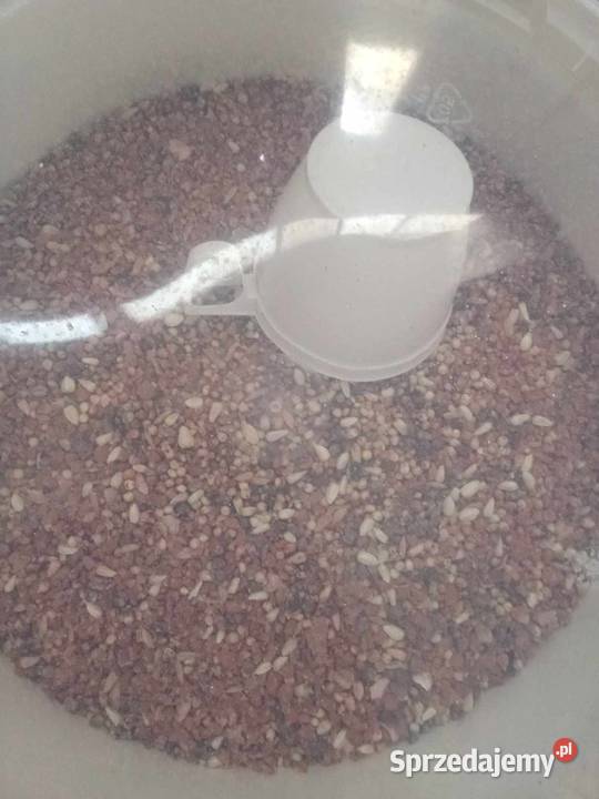 Grit gołębi Janów Lubelski