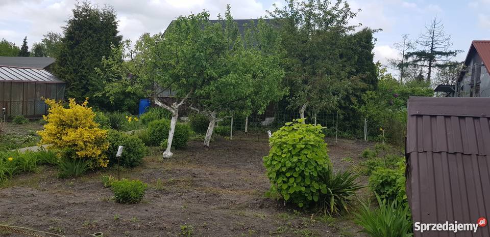 Sprzedam działkę rekreacyjną woda Mińsk Mazowiecki sprzedam