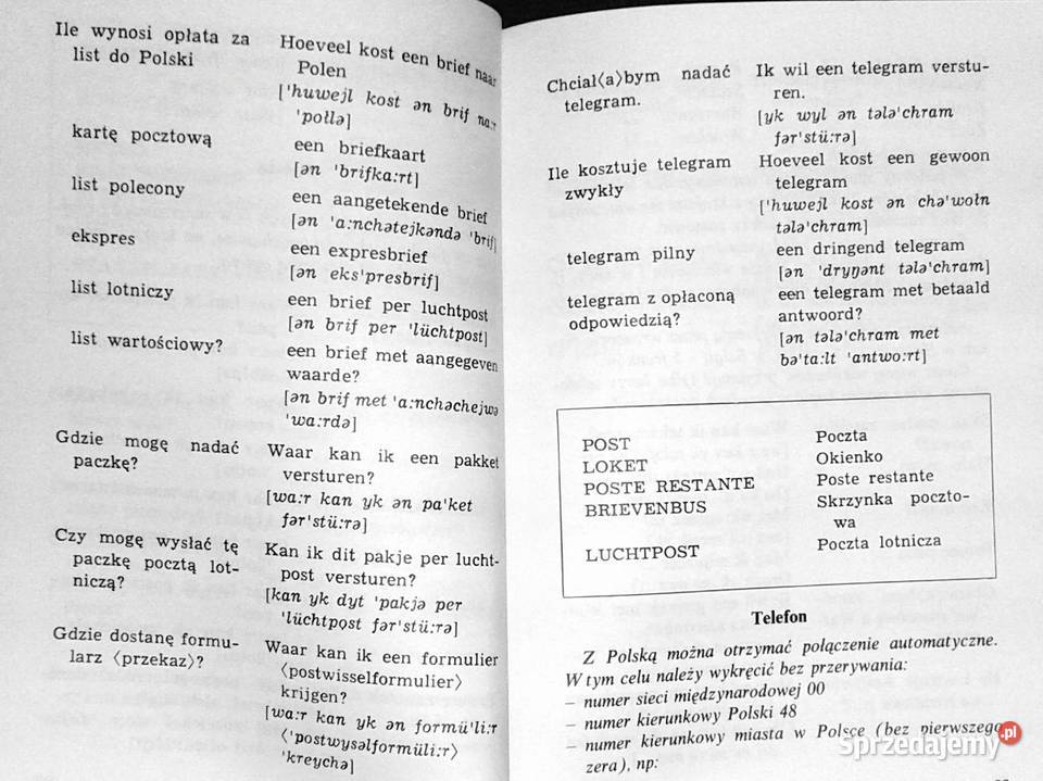 Minirozmówki niderlandzkie Lisetta Stembor Alina Chełm sprzedam