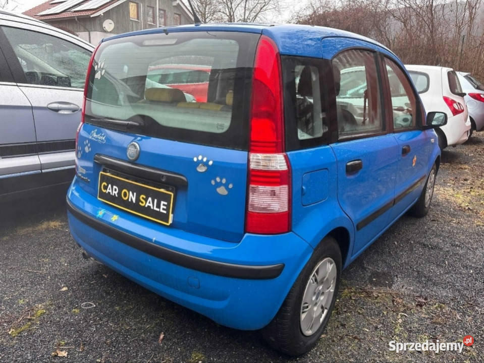 Fiat Panda Klimatyzacja bezwypadkowy II 20032012 1242cm3 Rzeszów