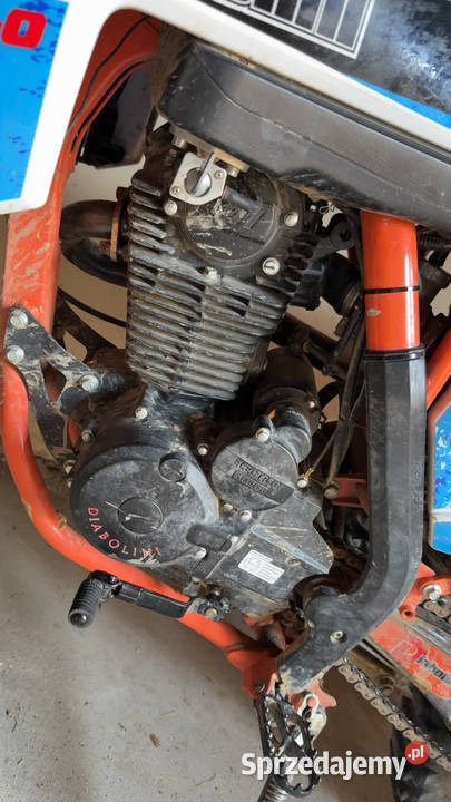 Diabolini 250 Kańczuga