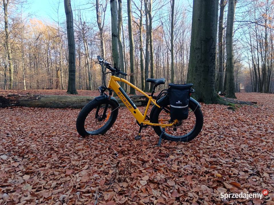 Rower elektryczny ENGWE E26 śląskie Mysłowice