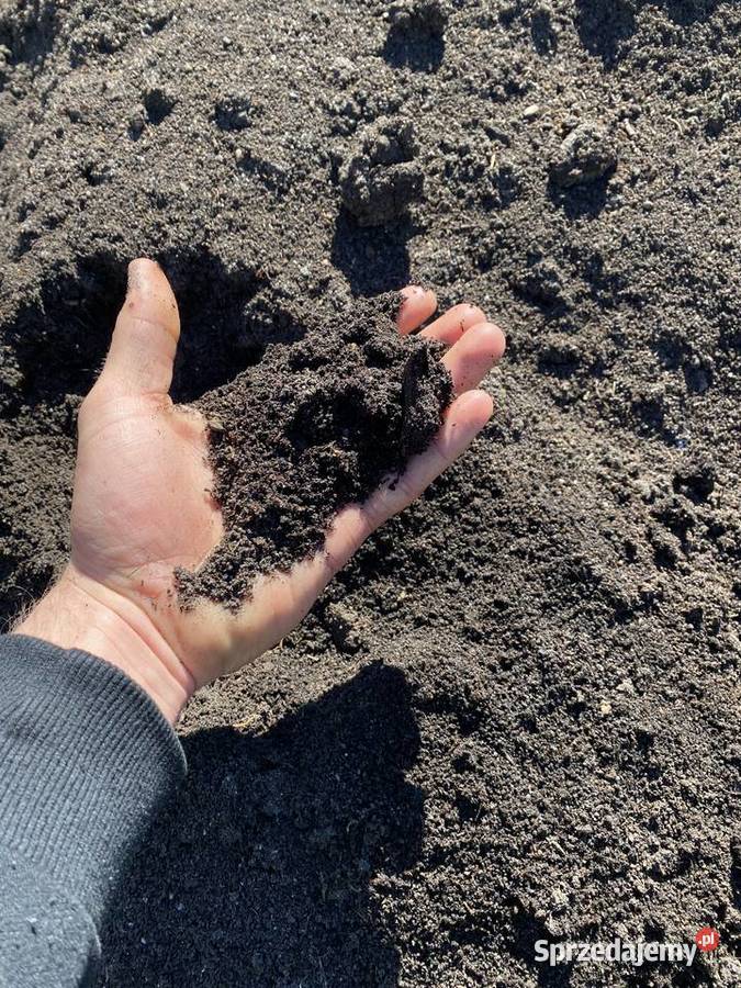 WERMIKOMPOSTBIOHUMUS STAŁY naturalny nawóz do Bysław