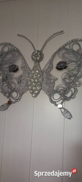 Motyl na ścianę Zamość
