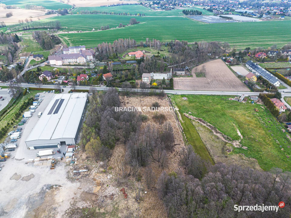 Działka Brzezie 11900m2 sprzedam