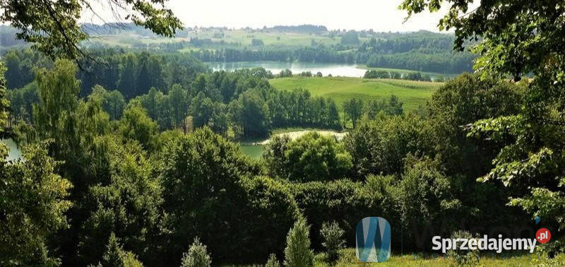 Działka 50600m2 Udziejek Sprzedaż