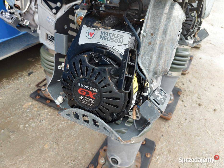 Skoczek WACKER NEUSON BS 604 As 20r 602 504 502 Pozostałe dolnośląskie