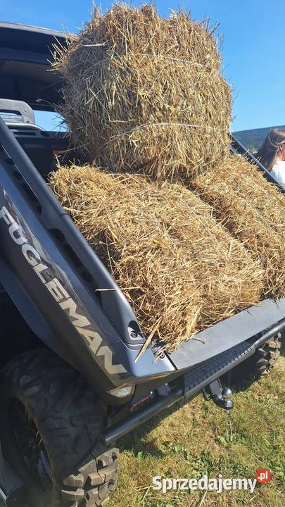 Wyprzedaż 2022r Nowy pojazd Segway UTV fugleman małopolskie Nowy Sącz