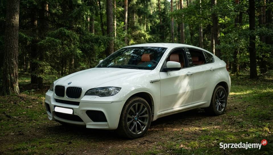 BMW X6 M