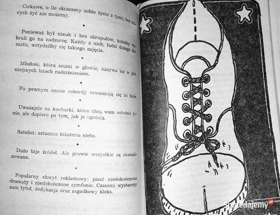 Oda do głupoty Aleksander Ziemny lubelskie Chełm