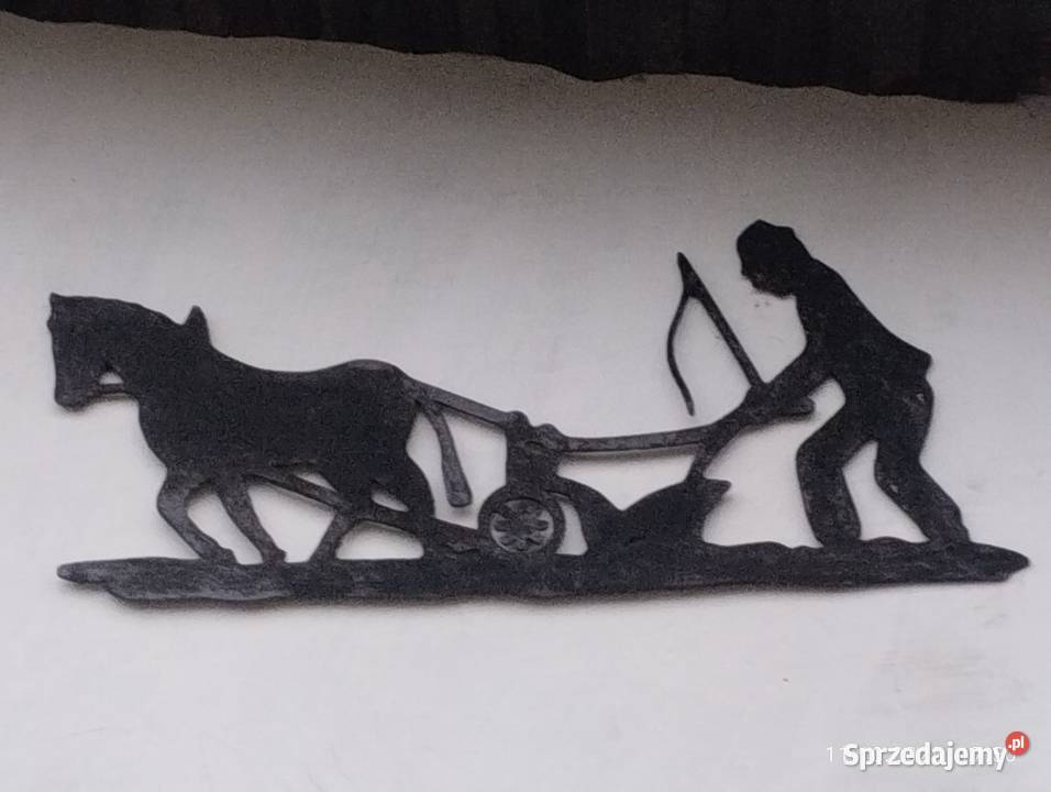 Kapusta szatkowana sprzedam