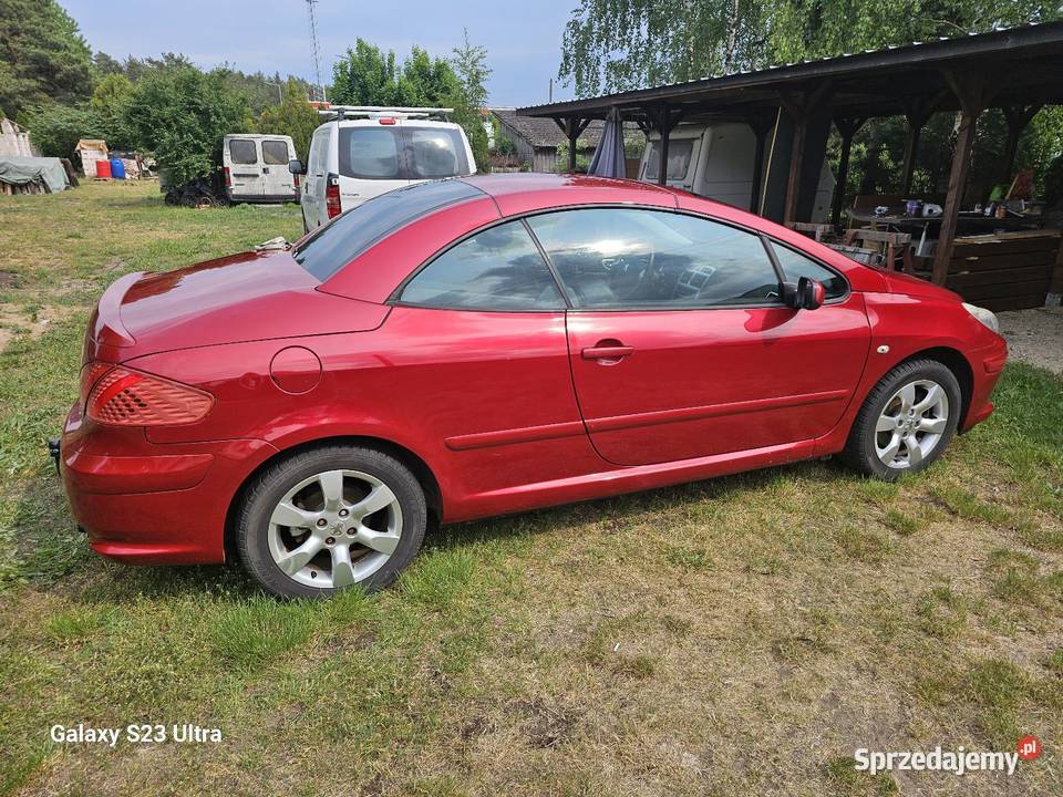 Cabrio kobiety Krzeszyce