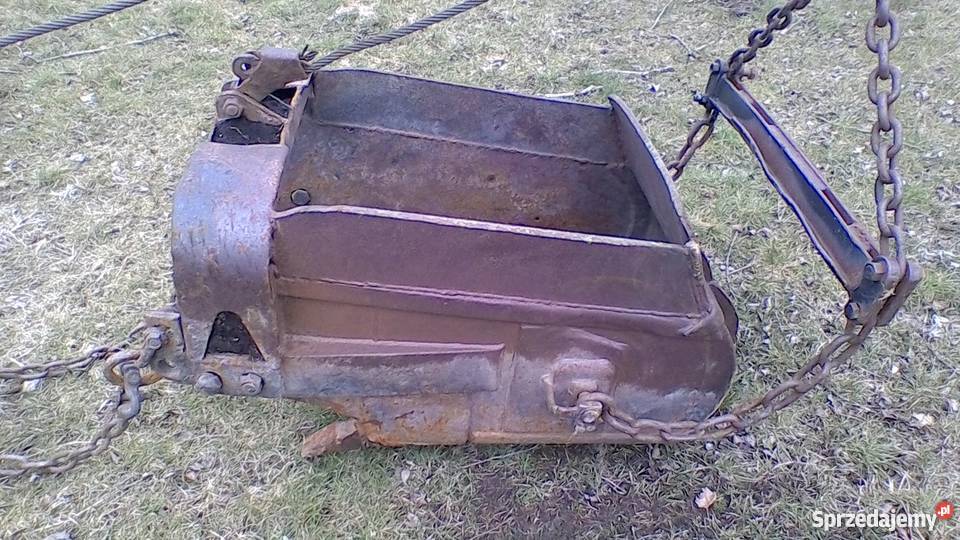 251 Gąsiennice Kikół