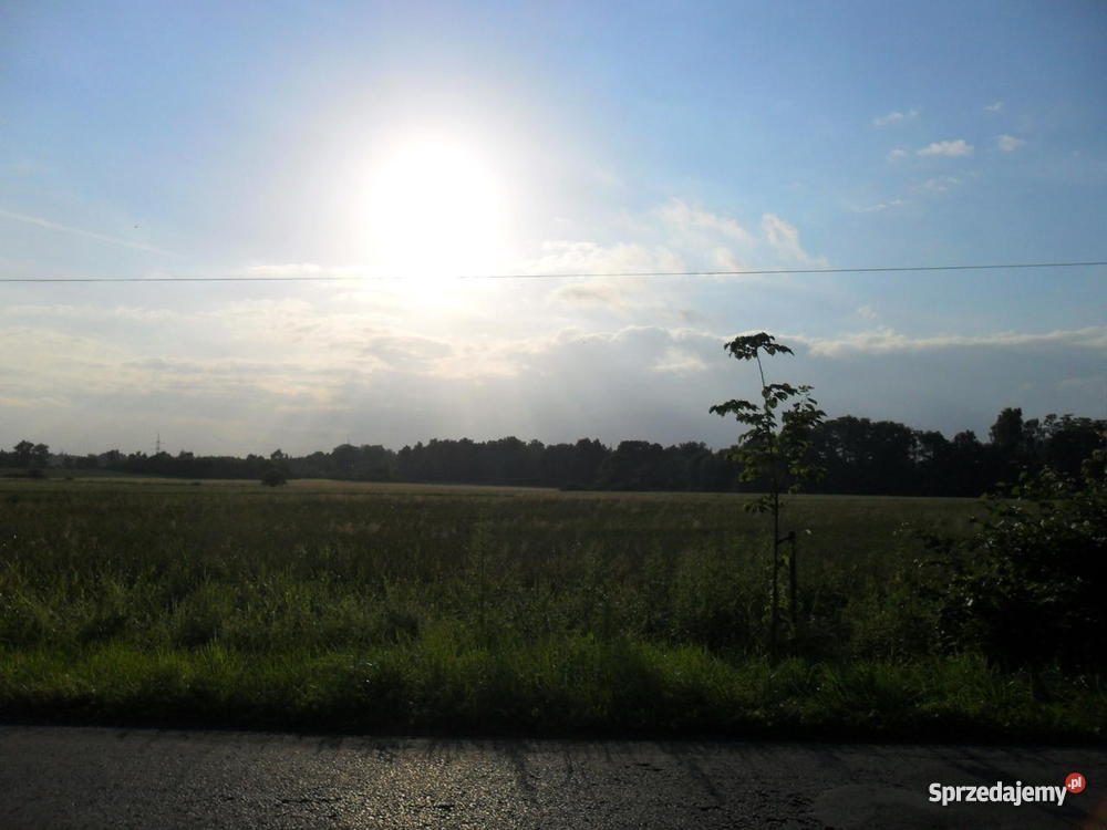 Działka budowlana PRUCHNA sprzedam