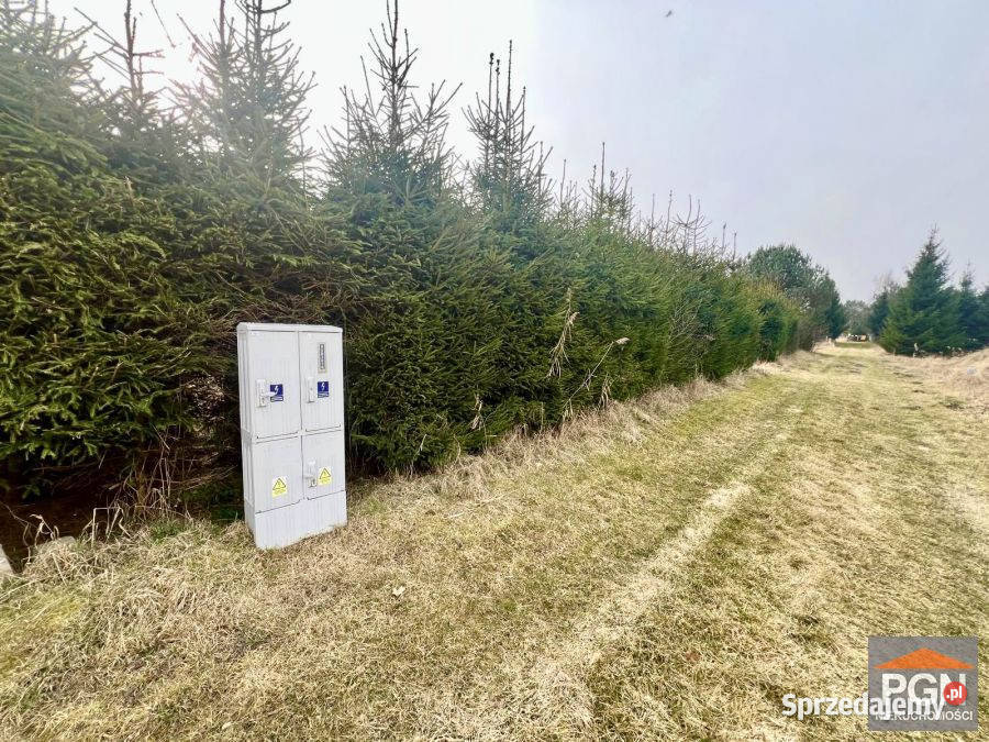 Działka Gostyniec 3007m2 sprzedam