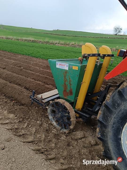 Sadzarka do ziemniaków lubelskie